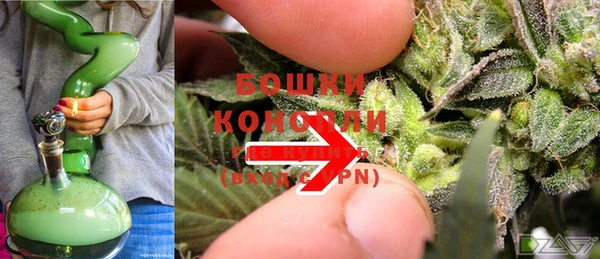 сатива Аркадак